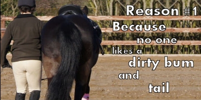 Comfort Gut helps prevent scouring