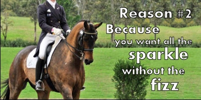 Comfort Gut Ultimate for Highly Stressed Horses